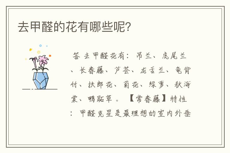 去甲醛的花有哪些呢?