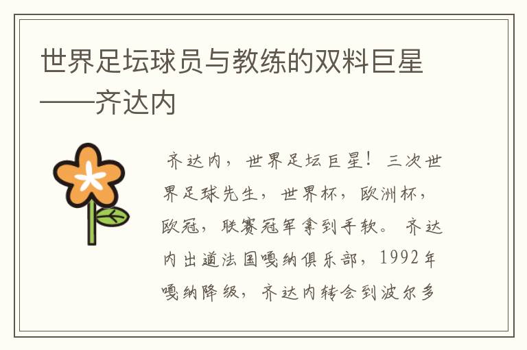 世界足坛球员与教练的双料巨星――齐达内