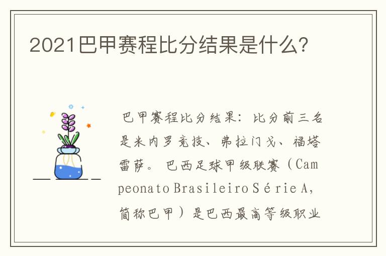 2021巴甲赛程比分结果是什么?