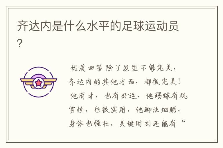 齐达内是什么水平的足球运动员?