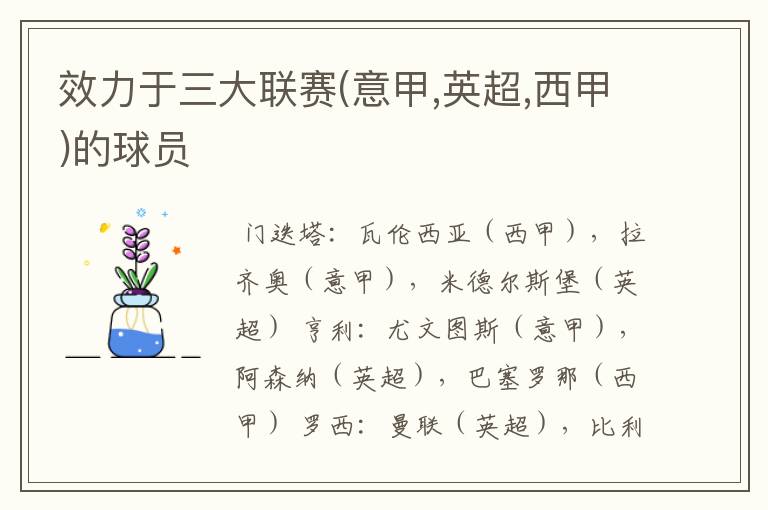 效力于三大联赛(意甲,英超,西甲)的球员