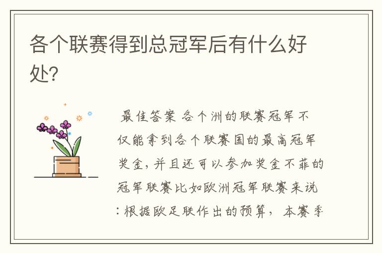 各个联赛得到总冠军后有什么好处?