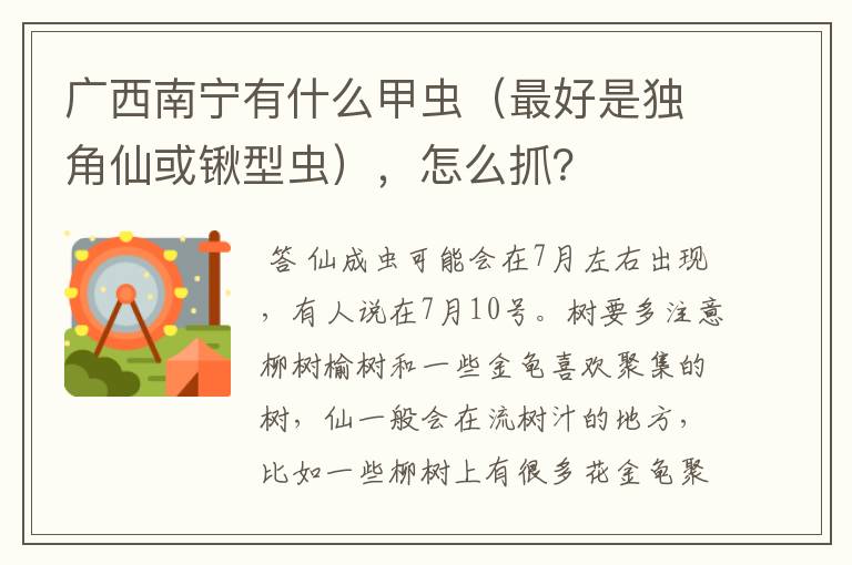 广西南宁有什么甲虫(最好是独角仙或锹型虫),怎么抓?