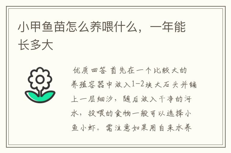 小甲鱼苗怎么养喂什么,一年能长多大