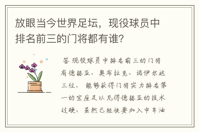 放眼当今世界足坛,现役球员中排名前三的门将都有谁?