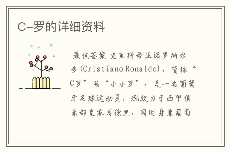 C-罗的详细资料