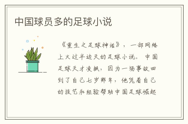 中国球员多的足球小说