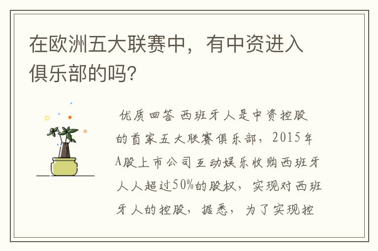 在欧洲五大联赛中,有中资进入俱乐部的吗?