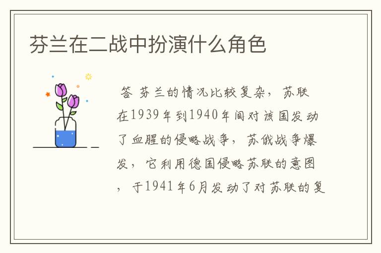 芬兰在二战中扮演什么角色