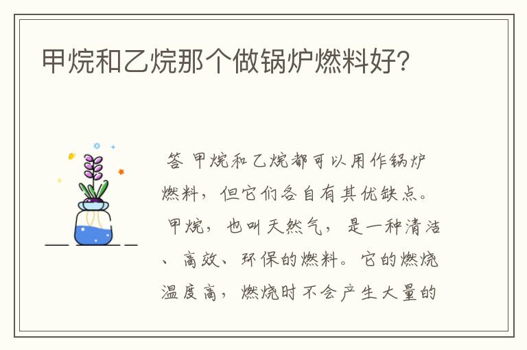 甲烷和乙烷那个做锅炉燃料好?