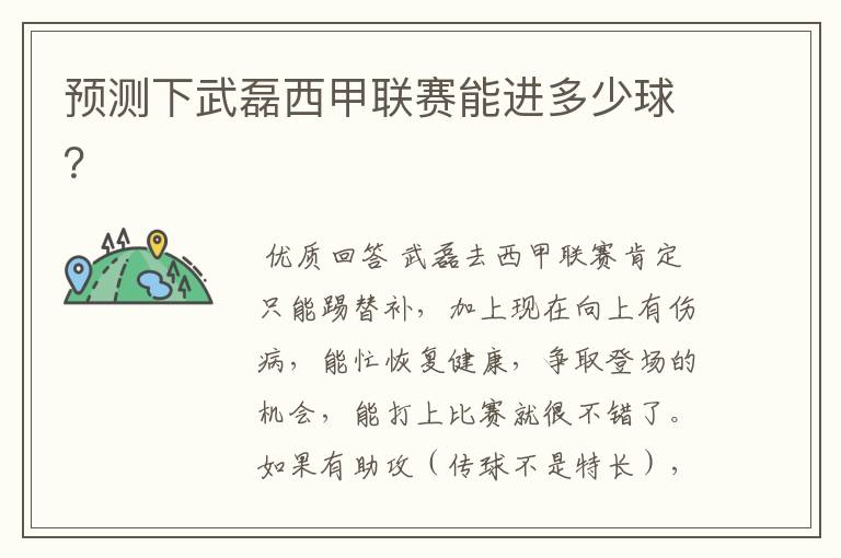 预测下武磊西甲联赛能进多少球?