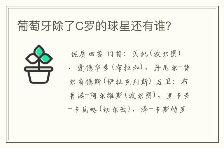 葡萄牙除了C罗的球星还有谁?