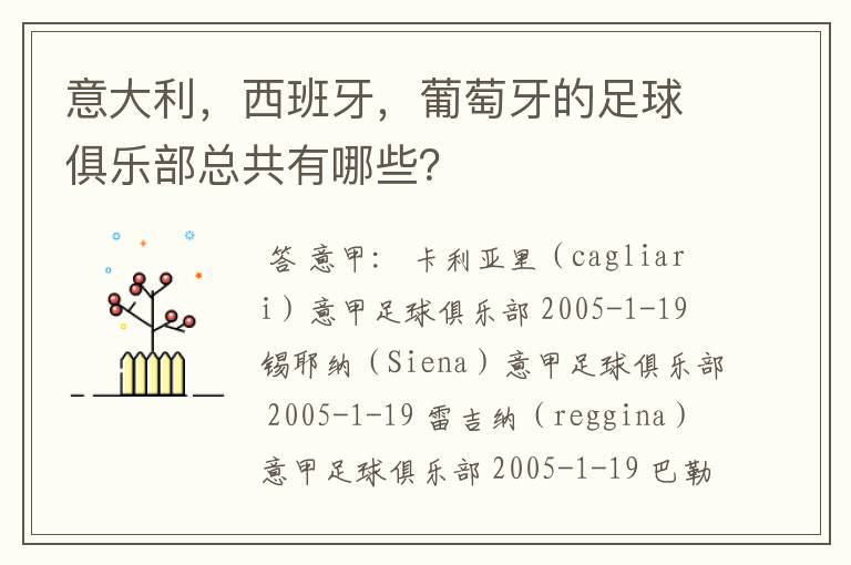 意大利,西班牙,葡萄牙的足球俱乐部总共有哪些?