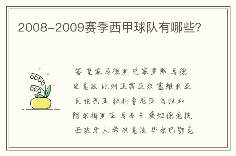 2008-2009赛季西甲球队有哪些?
