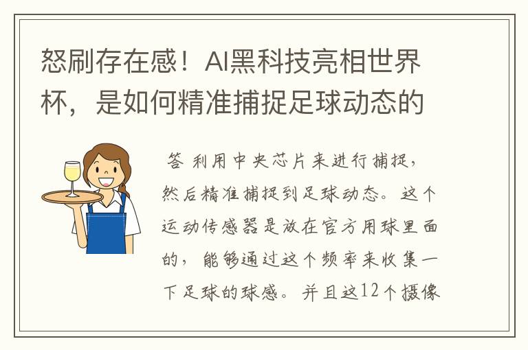 怒刷存在感!AI黑科技亮相世界杯,是如何精准捕捉足球动态的?