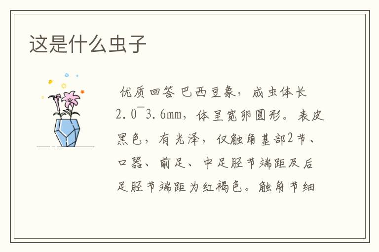 这是什么虫子