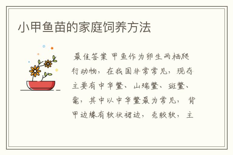 小甲鱼苗的家庭饲养方法