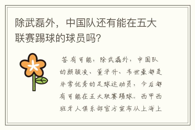 除武磊外,中国队还有能在五大联赛踢球的球员吗?