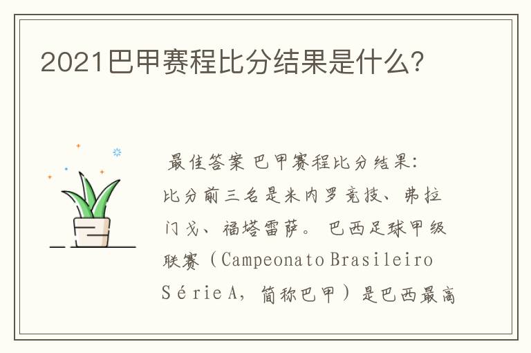 2021巴甲赛程比分结果是什么?