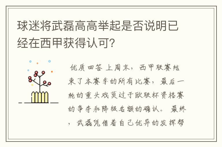 球迷将武磊高高举起是否说明已经在西甲获得认可?