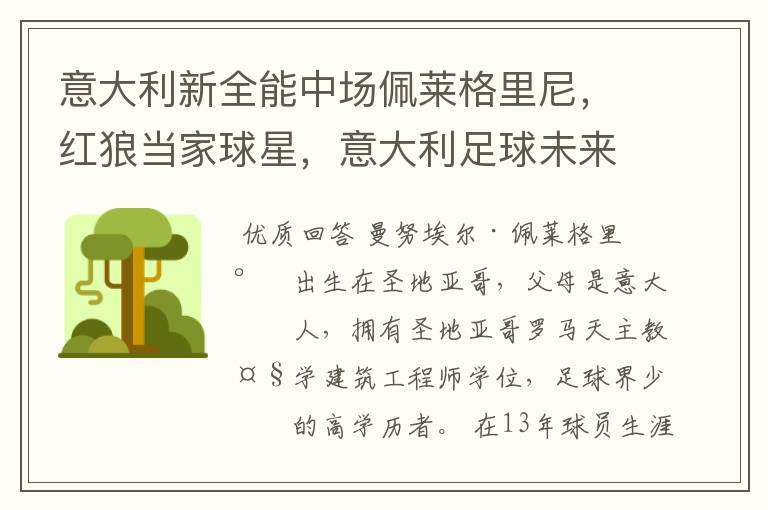 意大利新全能中场佩莱格里尼,红狼当家球星,意大利足球未来可期