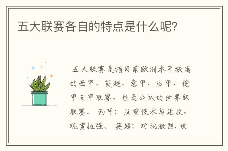 五大联赛各自的特点是什么呢?
