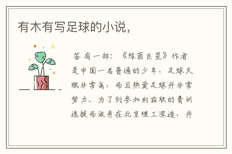 有木有写足球的小说,