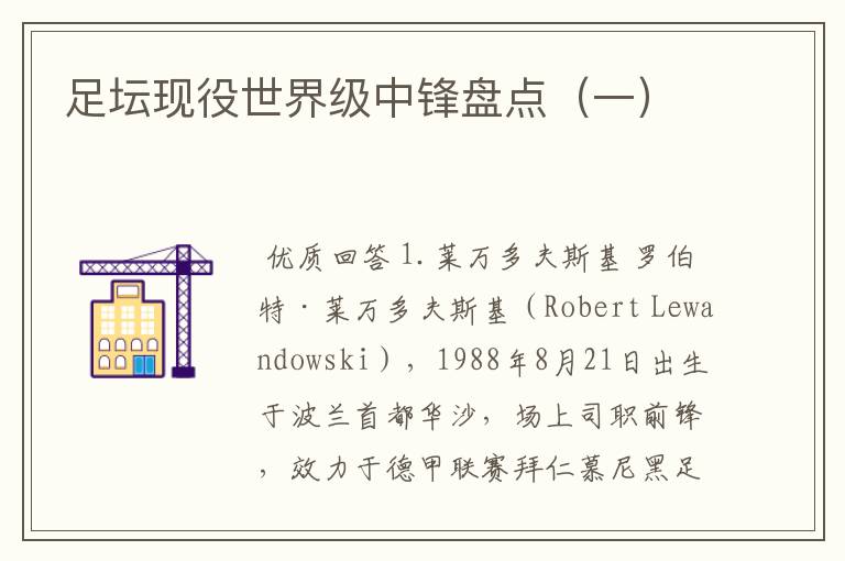 足坛现役世界级中锋盘点(一)
