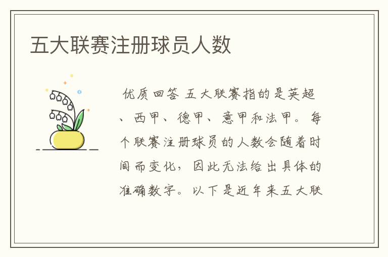 五大联赛注册球员人数