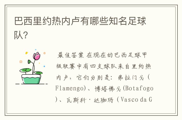 巴西里约热内卢有哪些知名足球队?