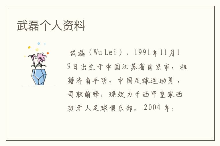 武磊个人资料