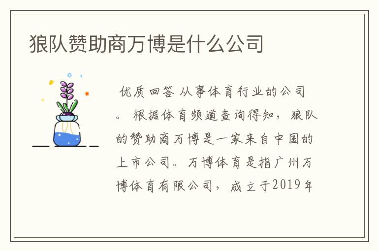 狼队赞助商万博是什么公司