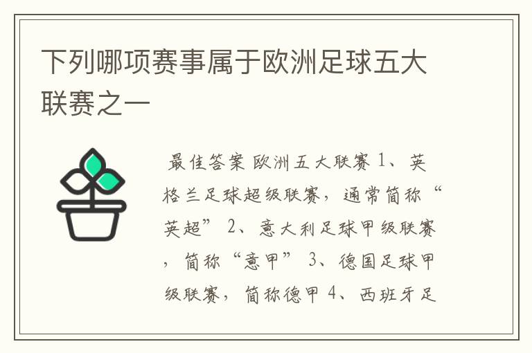 下列哪项赛事属于欧洲足球五大联赛之一