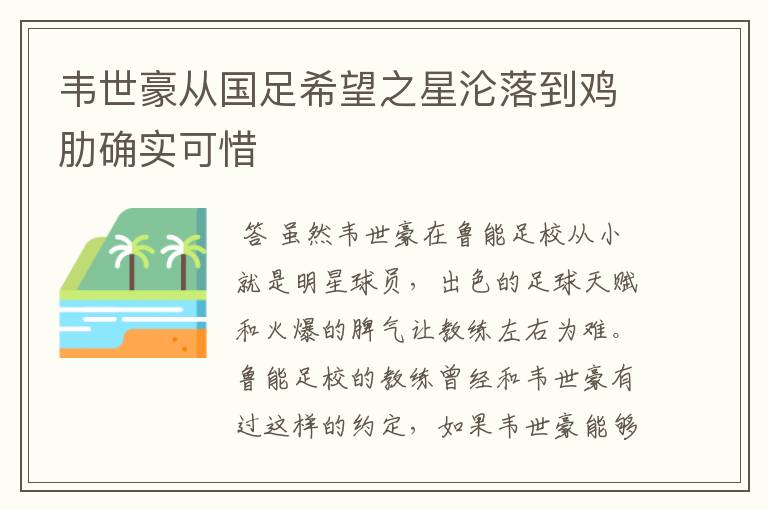韦世豪从国足希望之星沦落到鸡肋确实可惜