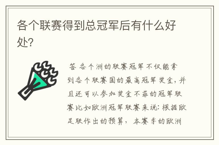 各个联赛得到总冠军后有什么好处?
