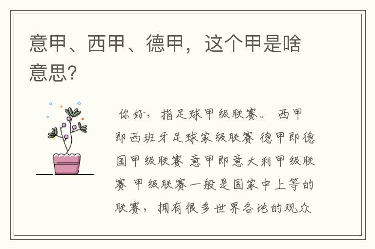 意甲、西甲、德甲,这个甲是啥意思?