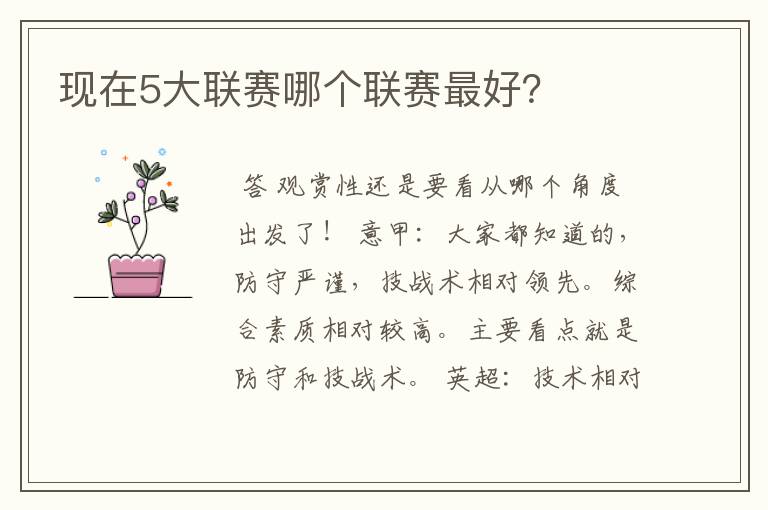 现在5大联赛哪个联赛最好?