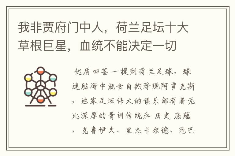我非贾府门中人,荷兰足坛十大草根巨星,血统不能决定一切