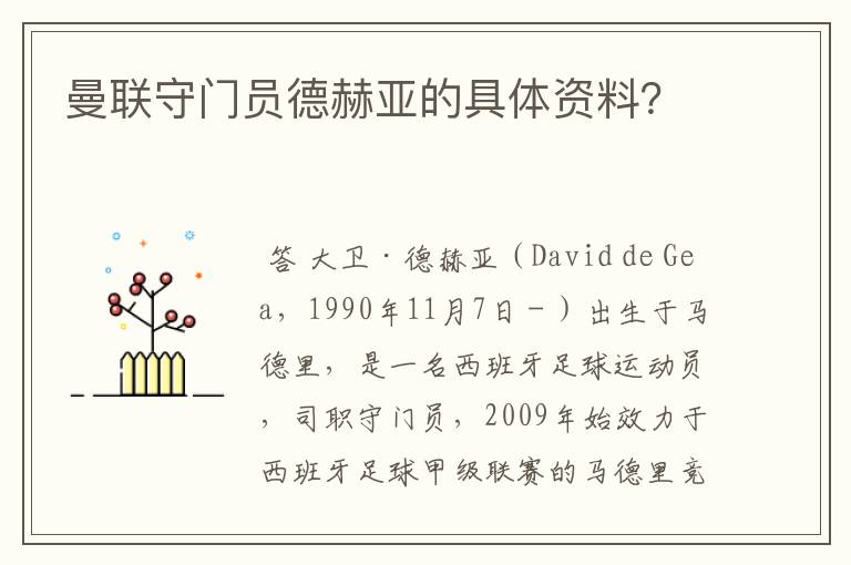 曼联守门员德赫亚的具体资料?