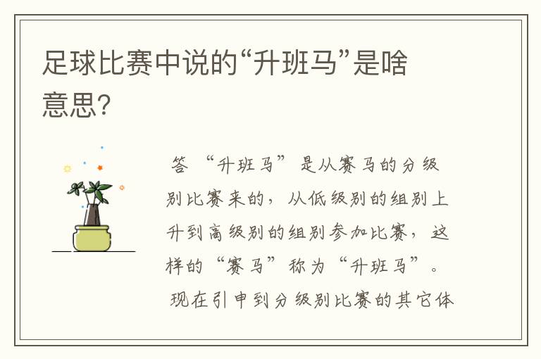 足球比赛中说的“升班马”是啥意思?