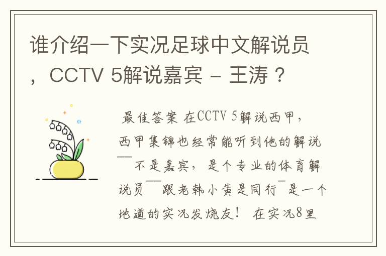 谁介绍一下实况足球中文解说员,CCTV 5解说嘉宾 - 王涛 ?