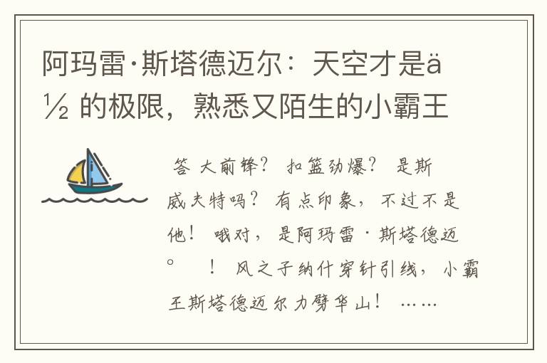 阿玛雷·斯塔德迈尔:天空才是你的极限,熟悉又陌生的小霸王