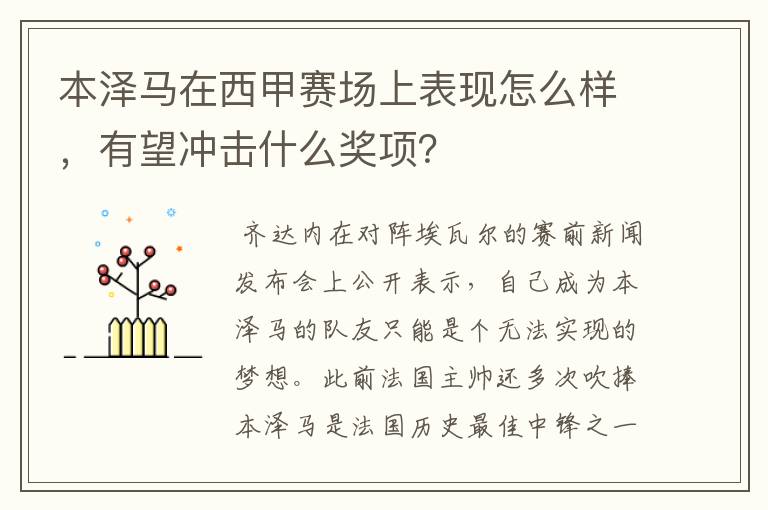 本泽马在西甲赛场上表现怎么样,有望冲击什么奖项?
