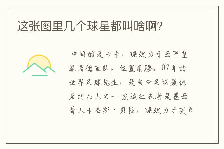 这张图里几个球星都叫啥啊?