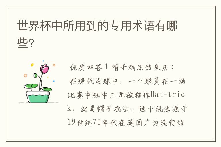 世界杯中所用到的专用术语有哪些?