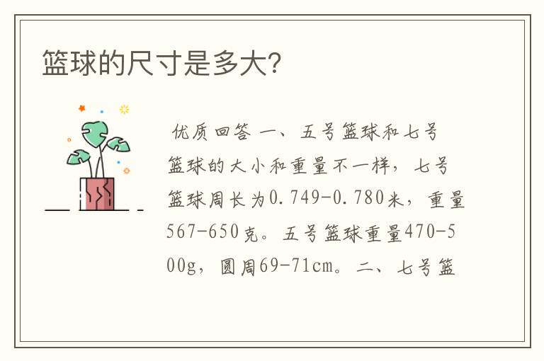 篮球的尺寸是多大?