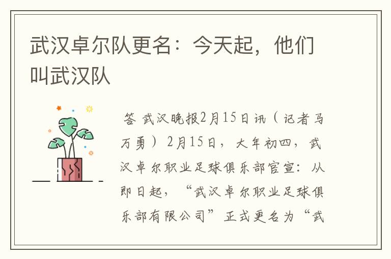 武汉卓尔队更名:今天起,他们叫武汉队