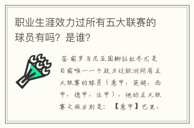 职业生涯效力过所有五大联赛的球员有吗?是谁?