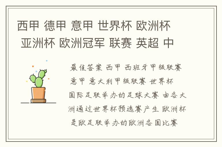 西甲 德甲 意甲 世界杯 欧洲杯 亚洲杯 欧洲冠军 联赛 英超 中超 分别是什么意思啊?