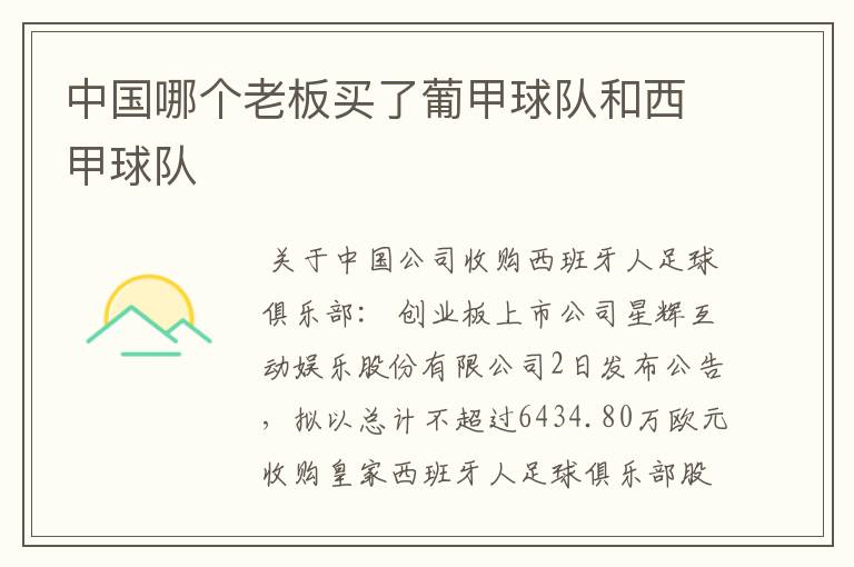 中国哪个老板买了葡甲球队和西甲球队